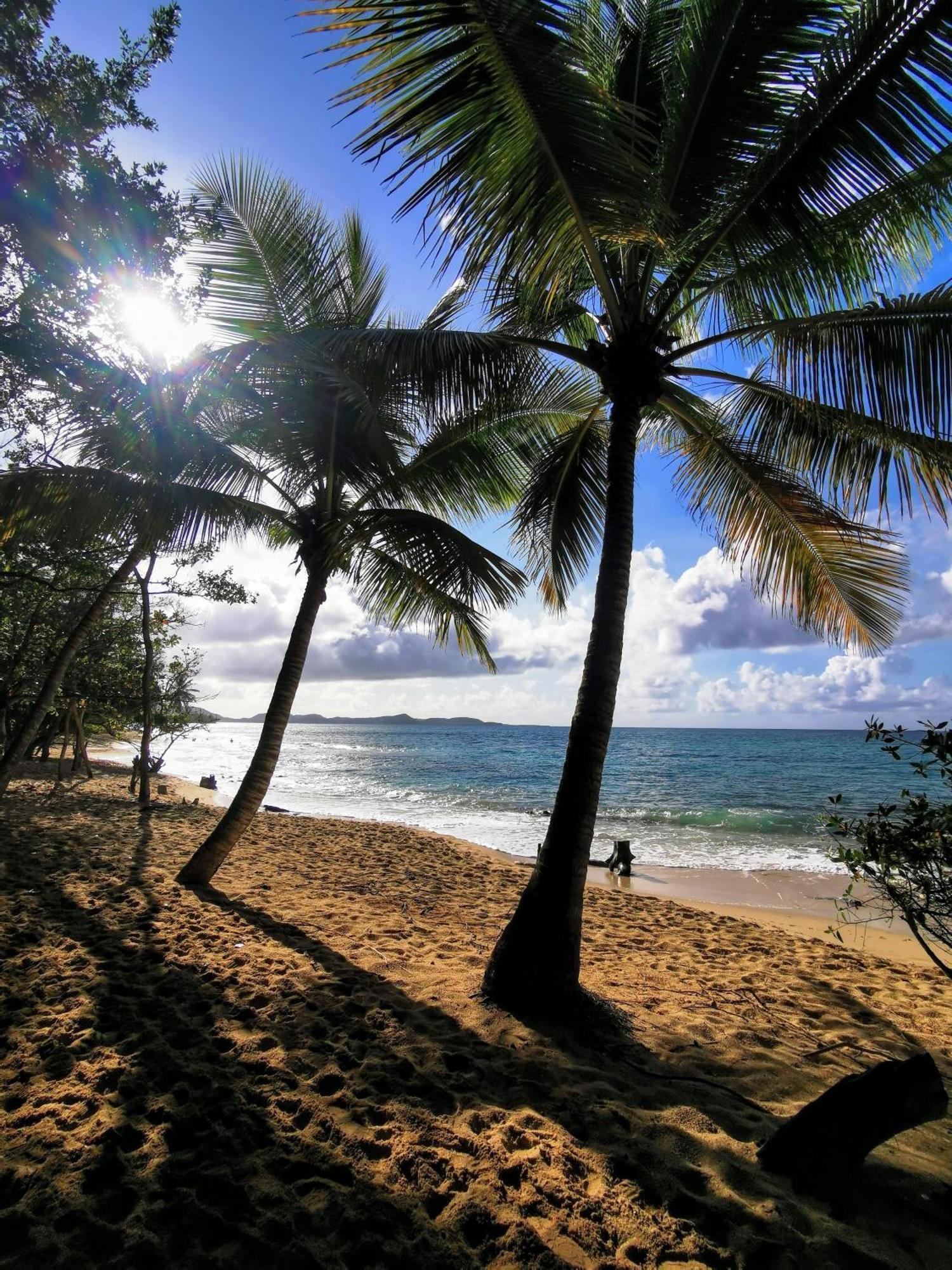 Ti'Bakoua A Sainte-Luce Plage Et Piscine Exterior foto